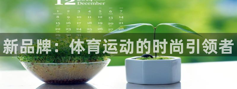 风速体育直播app：新品牌：体育运动的时尚引领者