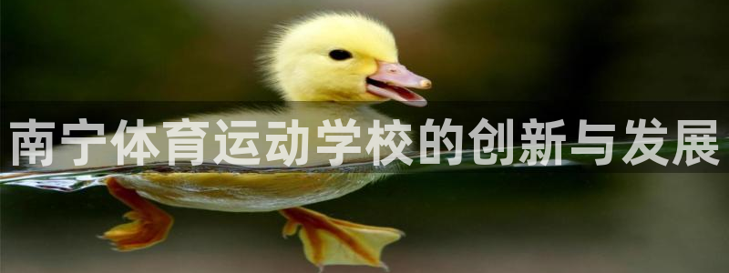 风速体育nba直播：南宁体育运动学校的创新与发展