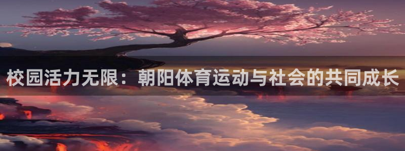 风速体育：校园活力无限：朝阳体育运动与社会的共同成长