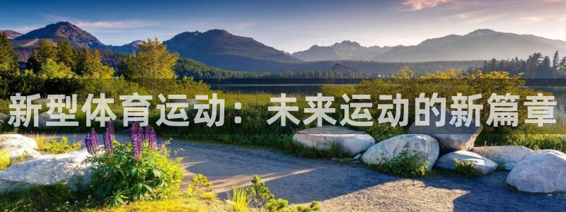 风速体育直播app：新型体育运动：未来运动的新篇章