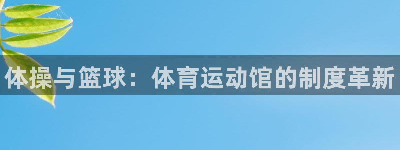 风速体育直播：体操与篮球：体育运动馆的制度革新