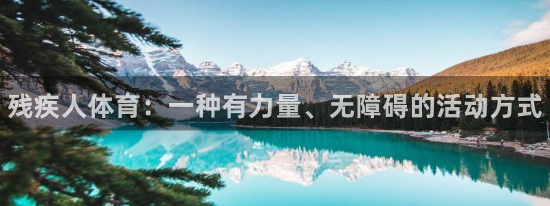 风速体育：残疾人体育：一种有力量、无障碍的活动方式