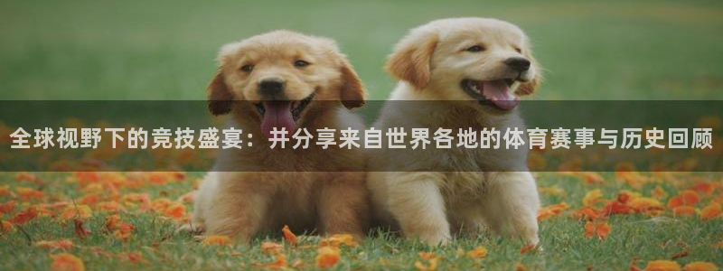 风速体育app：全球视野下的竞技盛宴：并分享来自世界各地的体育赛事与历史回顾
