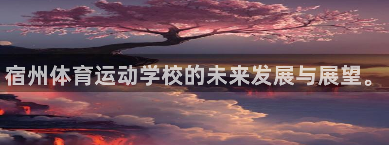 风速体育app：宿州体育运动学校的未来发展与展望。