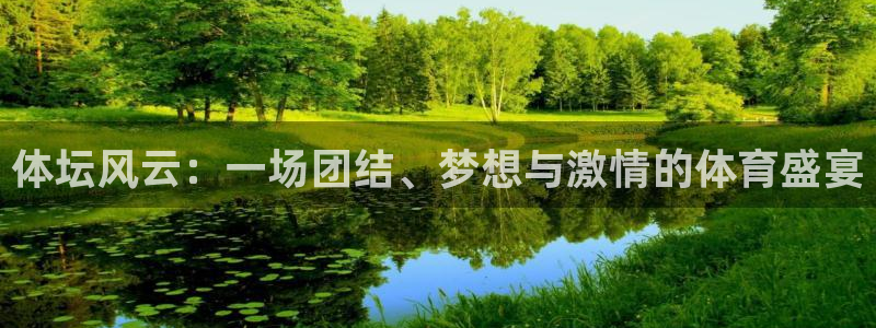风速体育：体坛风云：一场团结、梦想与激情的体育盛宴