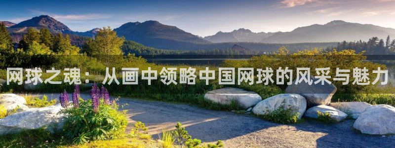 风速体育app下载官网最新版：网球之魂：从画中领略中国网球的风采与魅力