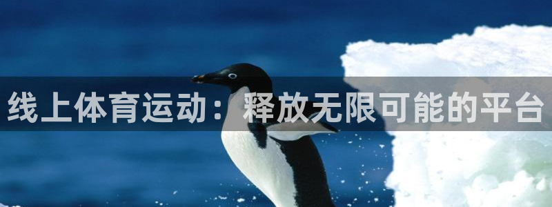 风速体育直播app：线上体育运动：释放无限可能的平台