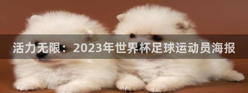 风速体育nba免费直播：活力无限：2023年世界杯足球运动员海报