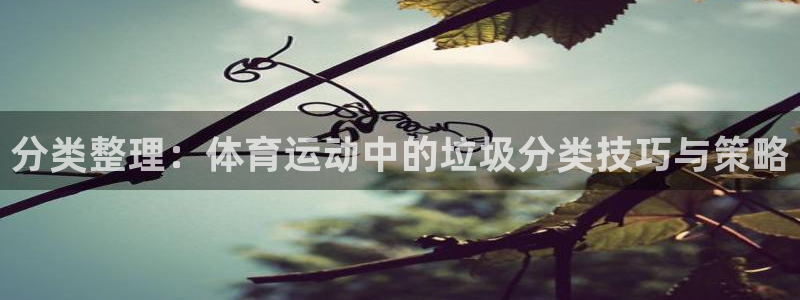 风速体育app下载安装最新版本：分类整理：体育运动中的垃圾分类技巧与策略