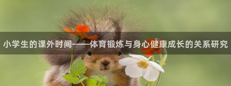 风速体育：小学生的课外时间——体育锻炼与身心健康成长的关系研究